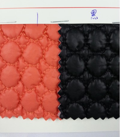 DG BITI 小圓圈 A100-8夾棉 絲絨外套用 後面照